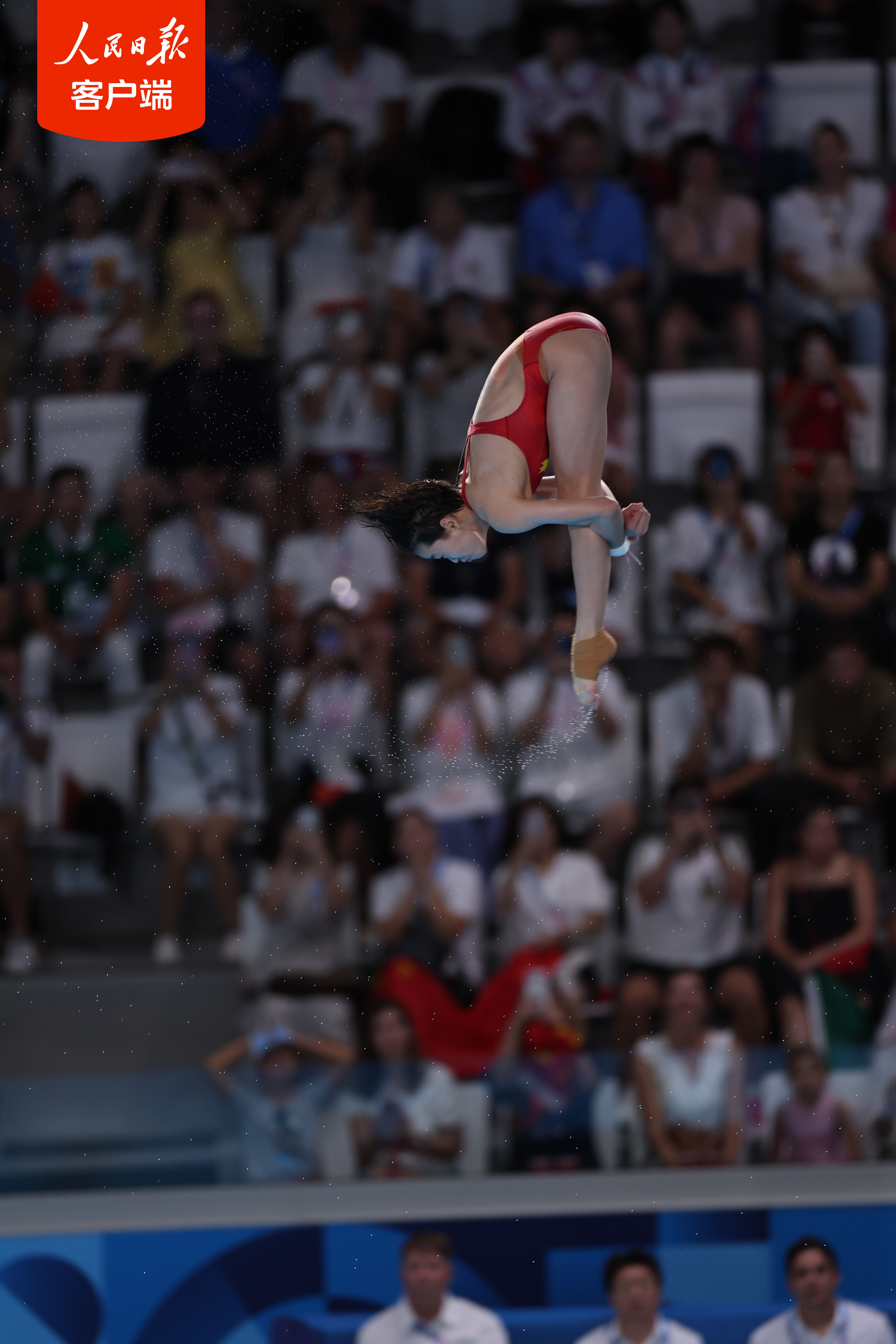 意大利跳水选手一举夺冠 意大利跳水选手一举夺冠