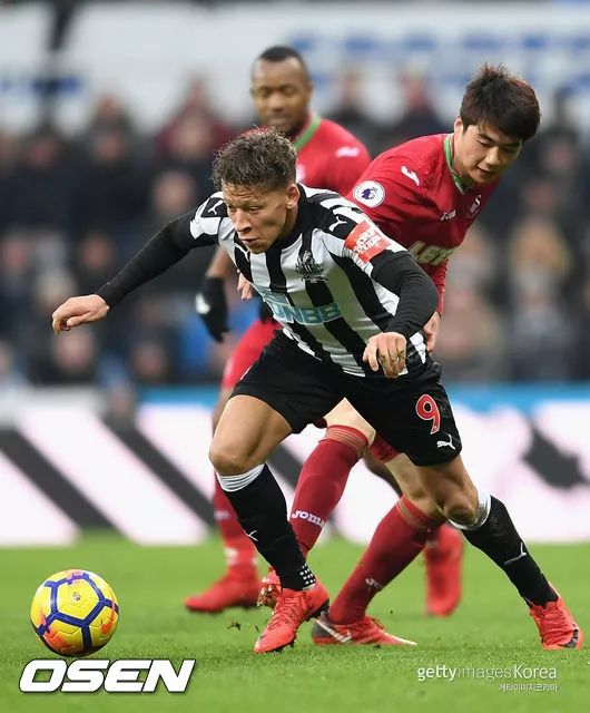 韩国队绝杀波兰队,波尔状态火热 韩国队绝杀波兰队,波尔状态火热