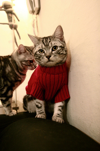 冷门双响炮，当李刚仁接管美加墨，巴拉圭掀翻苏格兰的足球启示录