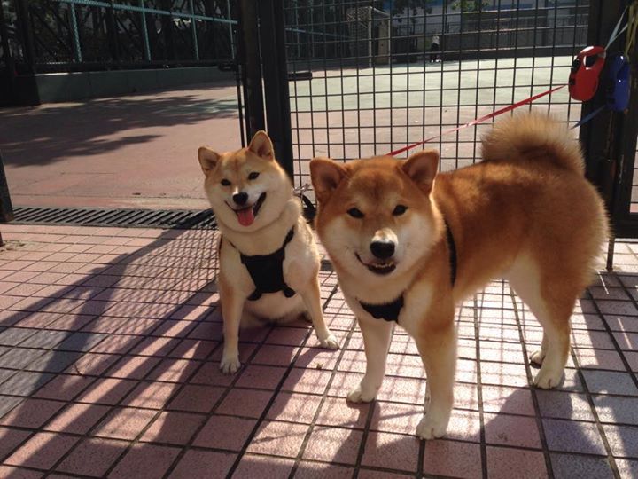 从低调先生到关键先生，阿坎吉那记打破宿命的惊天一击