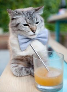 三球爆发之夜，步行者提前终结悬念，拉梅洛连续得分拉开差距