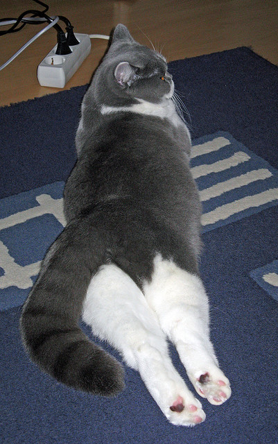 撕咬48分钟后的窒息末节,澳大利亚用铁血防守夺走奥运门票