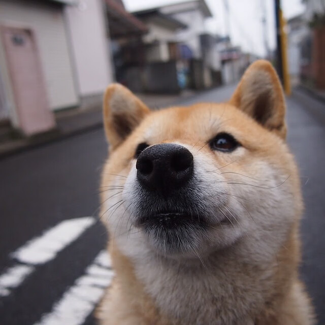 雷火电竞中国-赛道与绿茵场间的掌控艺术，当F1车手遇见孙兴慜的节奏魔法