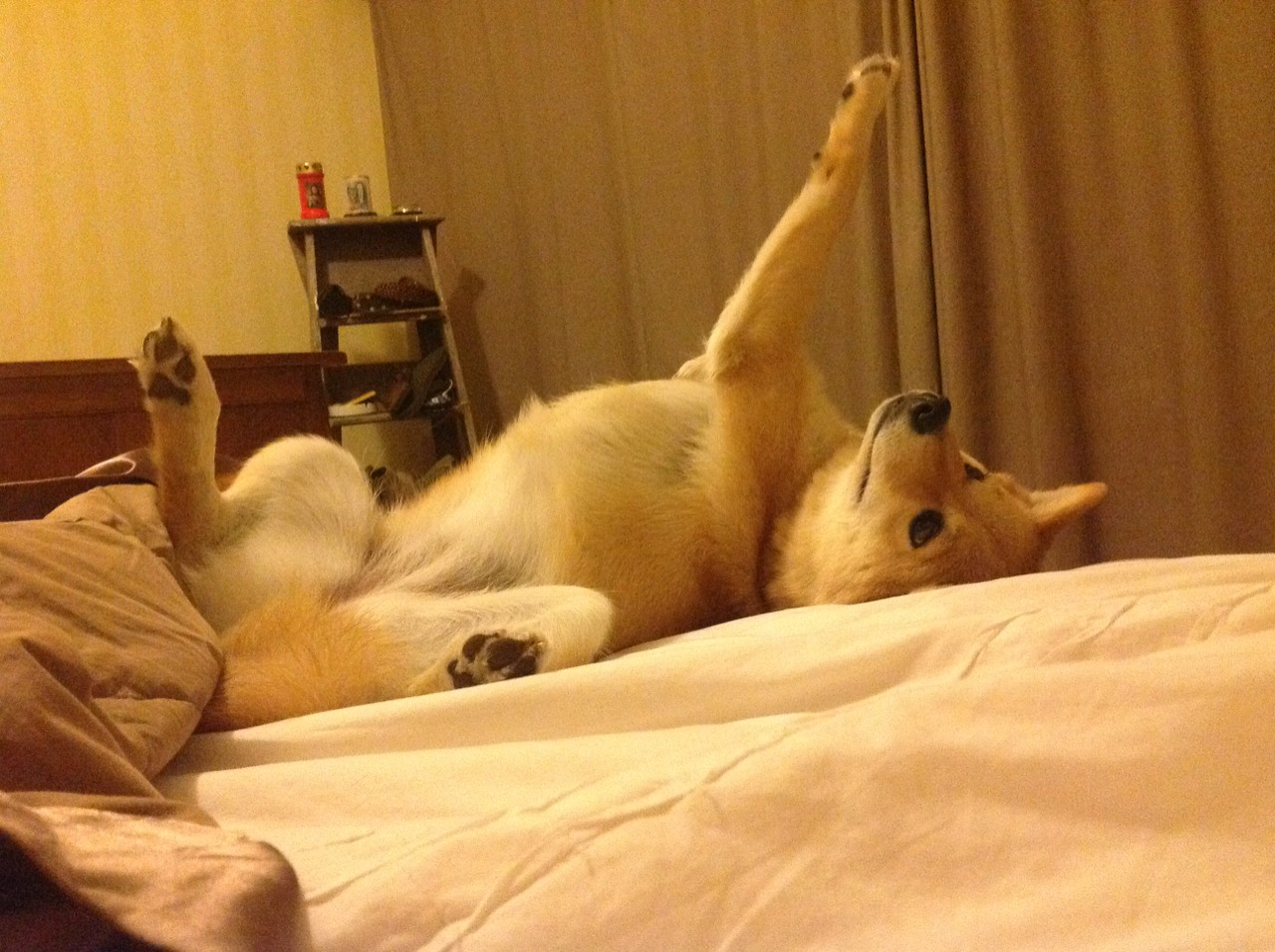 破局者,当芬兰单节击碎英格兰式逆转,布雷默改写北欧足球命运