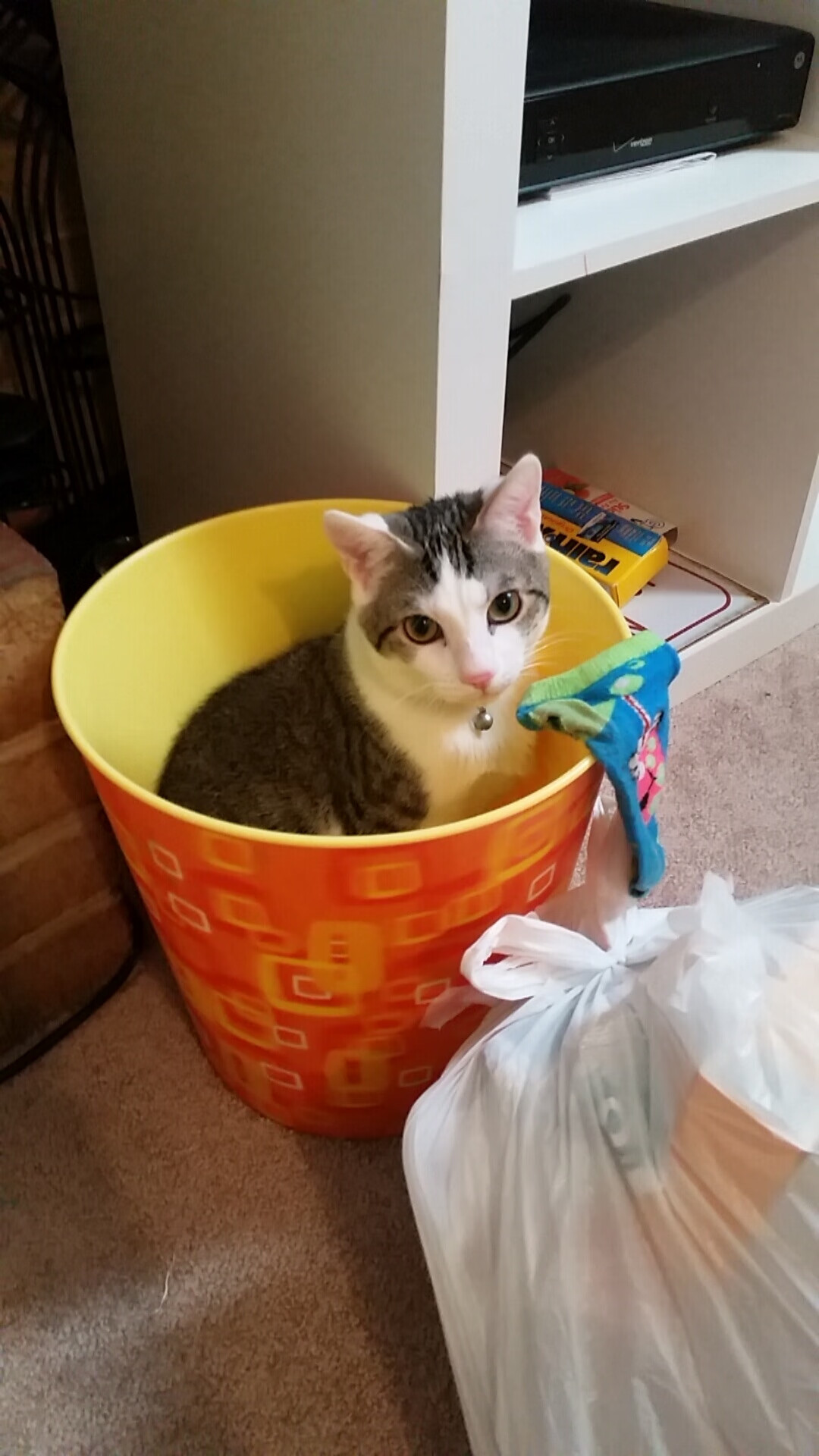 太空城逆袭绿军，绝境之下，布克射落关键先生之名